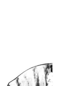 United Arab Republic advertisement panel 2