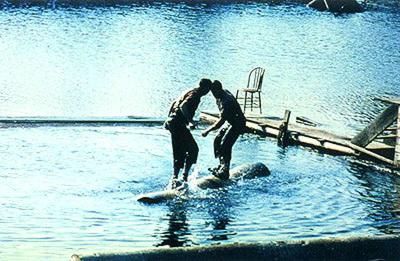 Action view of log-rolling at Oregon pavilion
